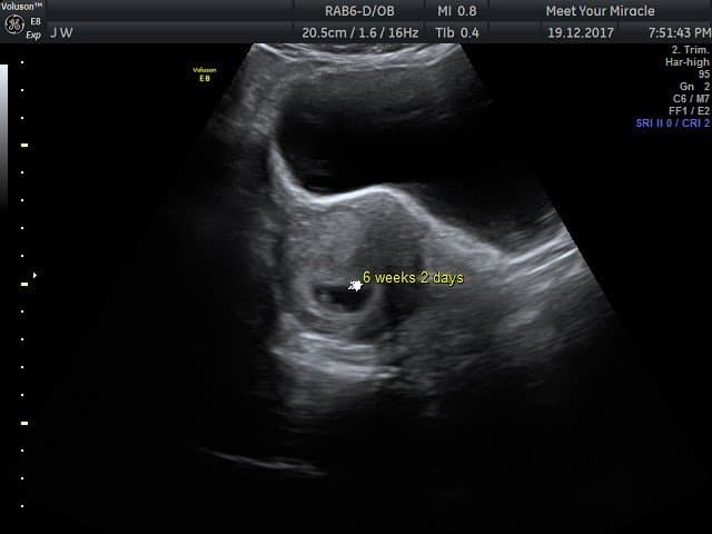 scan img-10.jpeg