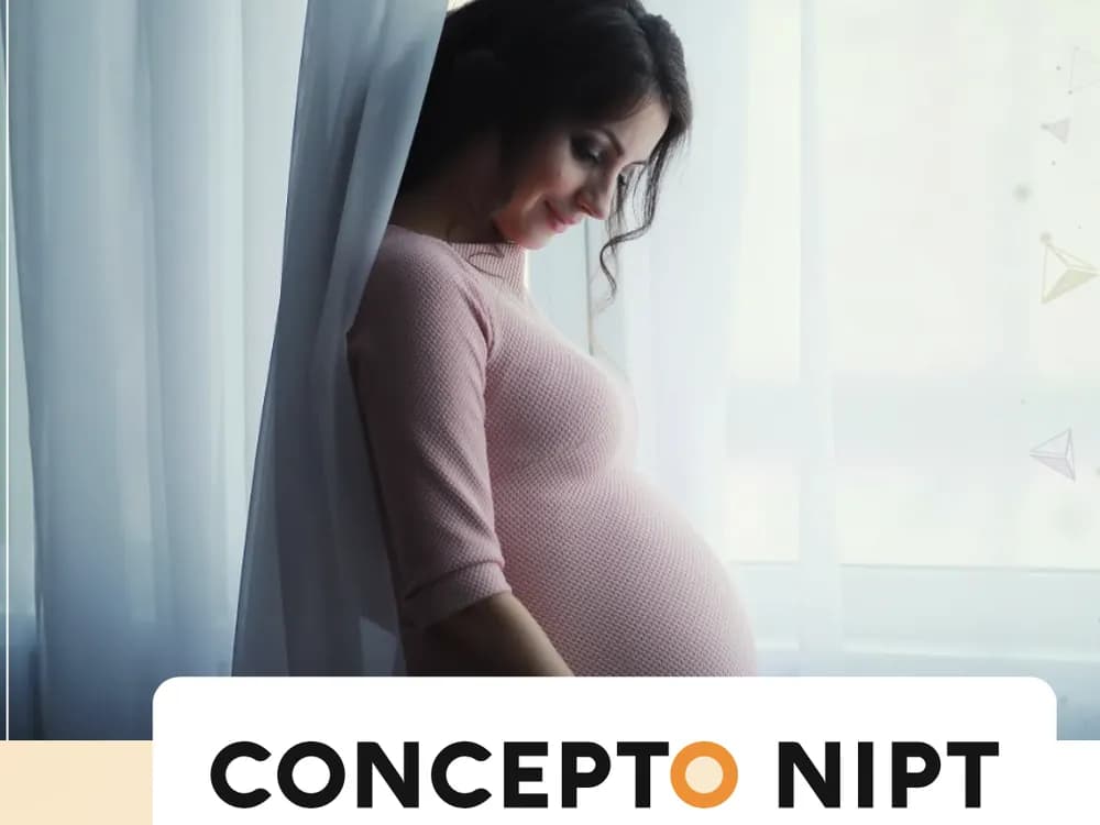Expectant mum holding her bump by a window