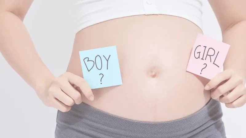 Gender scan with well-being check at Meet Your Miracle
